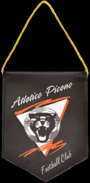 Gagliardetto pentagonale piccolo
